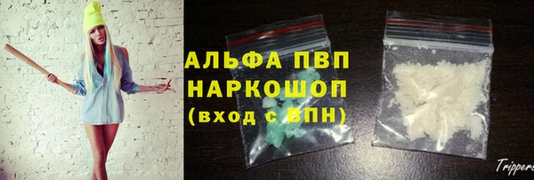 стаф Алексин