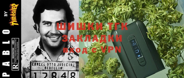 стаф Алексин