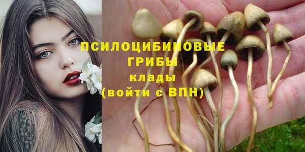 стаф Алексин