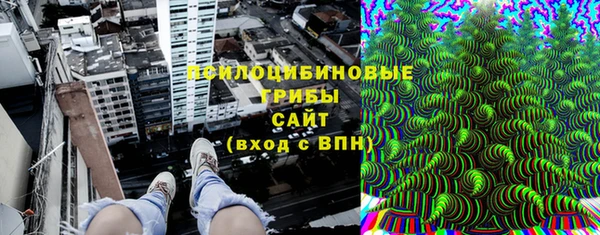 бошки Алзамай