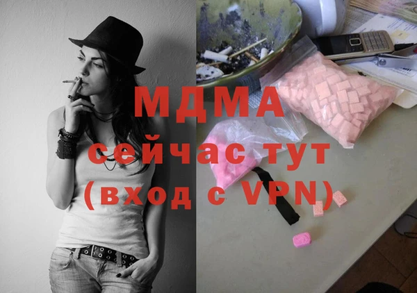 стаф Алексин