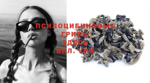 бошки Алзамай